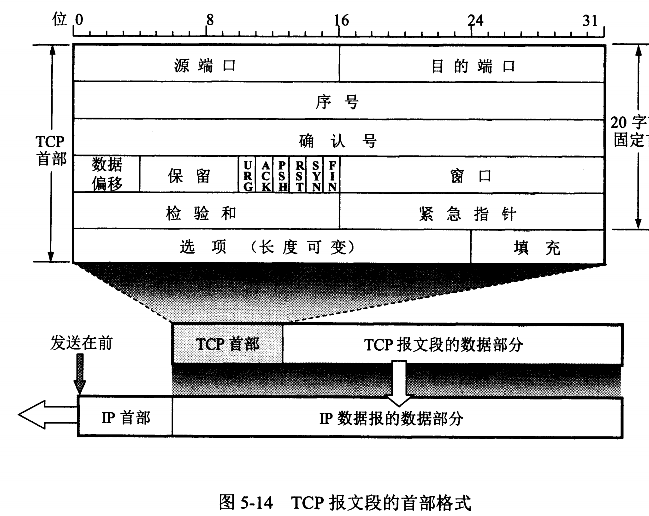 tcp-head
